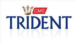 Trident CMS releases new version