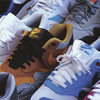 BL76_collect_trainers