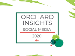 Orchard Insights jun20